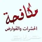 شركة رش مبيدات مكافحة حشرات نمل صراصير بالدمام الخبر القطيف