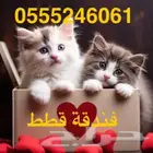 فندقة قطط وطيور - الرياض - حي المصيف
