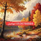 استراحة للايجار اليومي