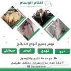 ذبايح حري نجدي نعيمي سواكني مع خدمة السلخ والتوصيل
