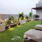 تنسيق حدائق وفلال واستراحات وتمصيم جميع انواع الشتلات والمظل