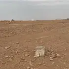 مطلوب ارض للبيع