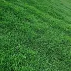 ثيل طبيعي بجميع انواعه