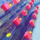 محاكر حمام 3 دور 6 بياضه