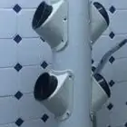 بيوت محمية زراعة مائية