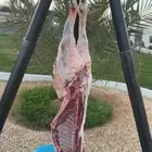 معلم مشويات خارجيه مشاوي دوار السعادة