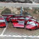اسطبات نيسان بلاتنيوم