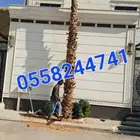 نخل واشنطونيا مراوح