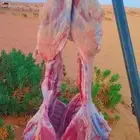 شوي خارجي