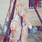 شوي خارجي في الموقع