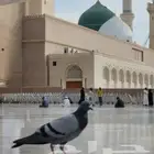 مطلوب منكم خدمة