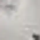 معلم دهانات جده