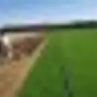 ابو عبدالله المرحبي