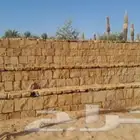 مقاول