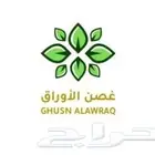 حناء وسدر جمله وتجزئة