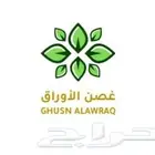 حناء وسدر