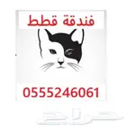 فندقة قطط وطيور - الرياض - حي المصيف