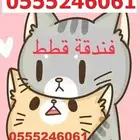 فندقه قطط طيور 6061 24 0555 حي المصيف