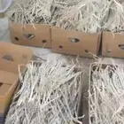 لقاح جديد وكراتين ناشف