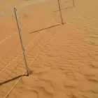 مقاول شبوك ونخيل