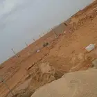 مقاول شبوك بأنواعها