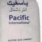 بذار برسيم باسفيك