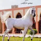 مهر واهو
