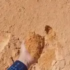 بطخا ودي دوسرا  رياض  بطحا  جاش م ين لجميع آنواع البطحاء