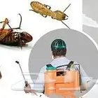 شركه مكافحه الحشرات بالخبر