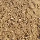 يوجد لدينا جميع انواع السبيس المغربل والعادي جيزان صبيه يوجد