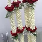 فل جيزاني