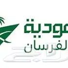 انتباه   اميال فرسان