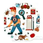 شركة رش حشرات بمكه