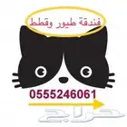 فندقة حيوانات قطط وطيور أثناء اجازتك