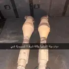 دبات بيئة اكستيرا وكالة