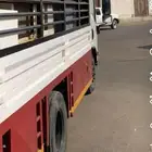 دينه شبك توصيل داخل ينبع وخارجها وجميع انحا المملكه