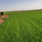 ثيل سي 2000 صافي وطبيعي جراده قولي مزرعه الخارج