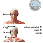 حجامه ومساج للنساء والرجال