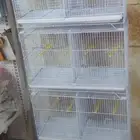 اقفاص انتاج كناري (ابو فاصل)