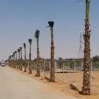 جميع أشغال أنخل تحويض تكريب واشنطن