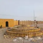 توريد جميع لاشجار