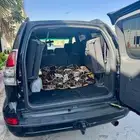 Toyota Prado  2005  Automatic  288000 KM GX (Black Edition)