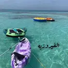 رحلات وحفلات