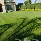 ثيل طبيعي جميع انواع الثيل الطبيعي السي2000 فرنسي