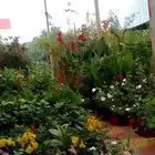 تنسيق حدائق