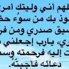شيول اعمال النظافه