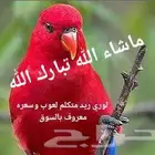 لوري ريد لعوب وصحه طيبه ماشاء الله تبارك الله