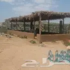تركيب عريش تراث