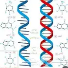 مدرس تحصيلي وجامعة
