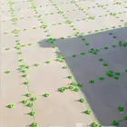 عمال تركيب بلاط